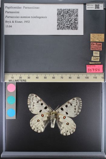 Media type: image;   Entomology 72972